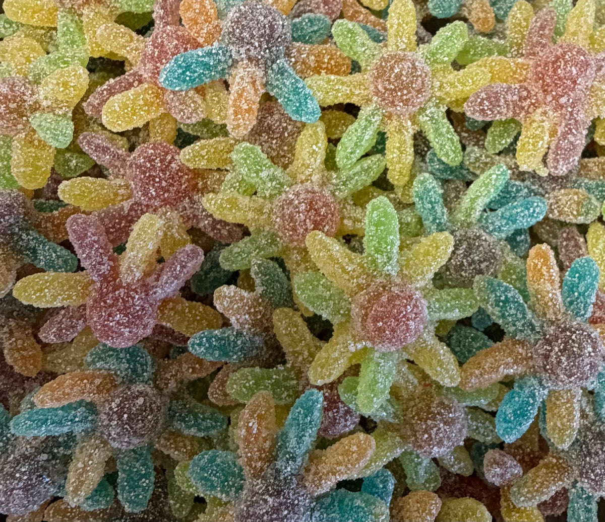 Pieuvres multicolores
